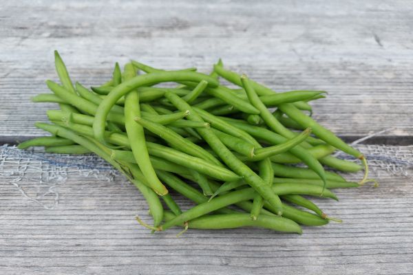 Buschbohnen